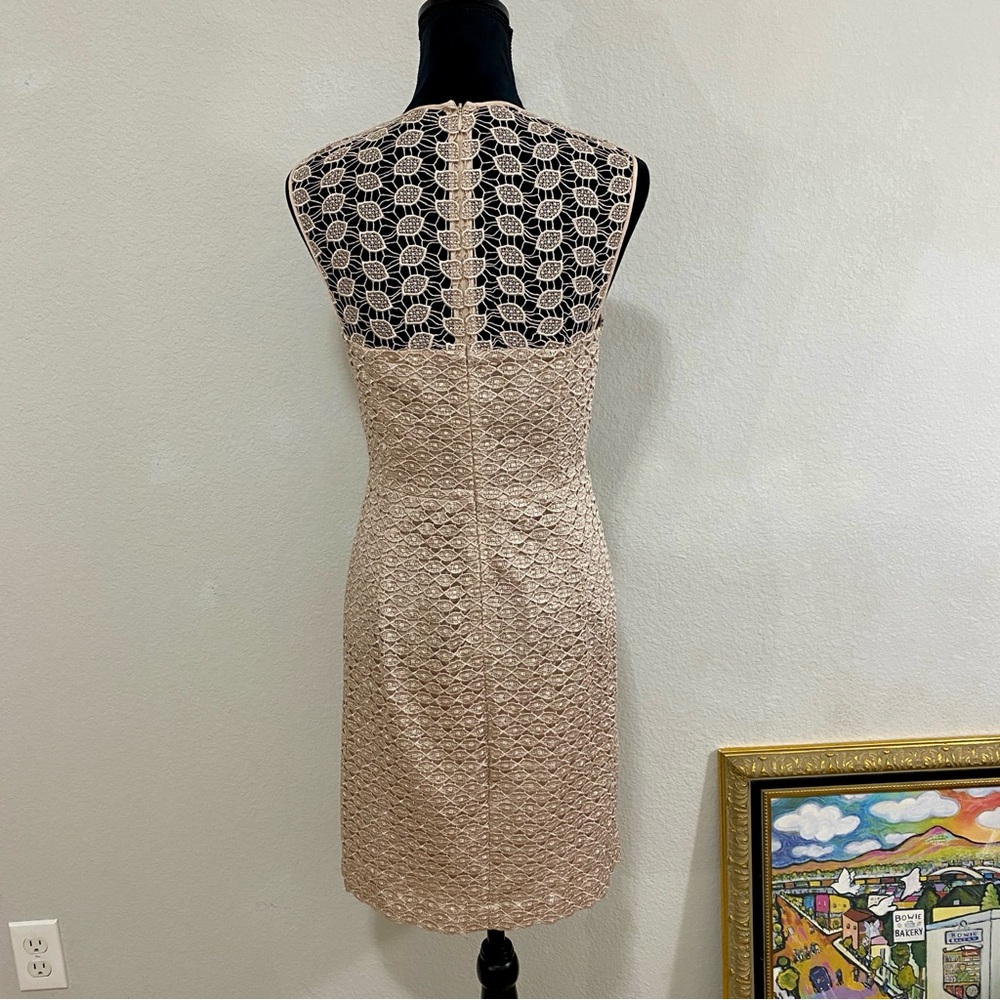Diane Von Furstenberg Nude/Blush Kinchu Lace Sheath Dress, Size 8, Classic, Chic - Picture 3 of 8